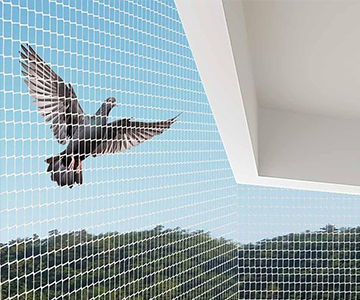 bird-net